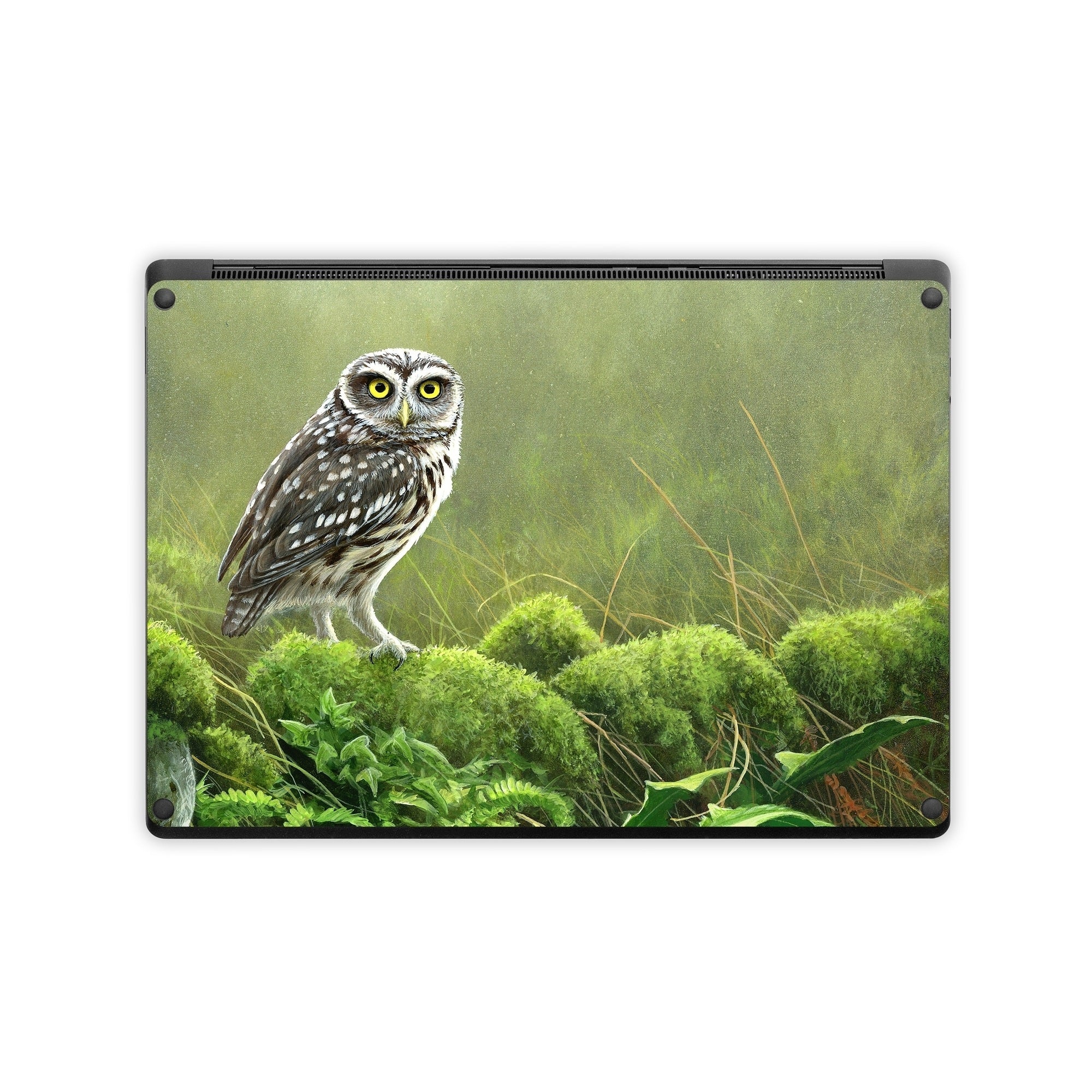 Tumbledown - Microsoft Surface Laptop Skin