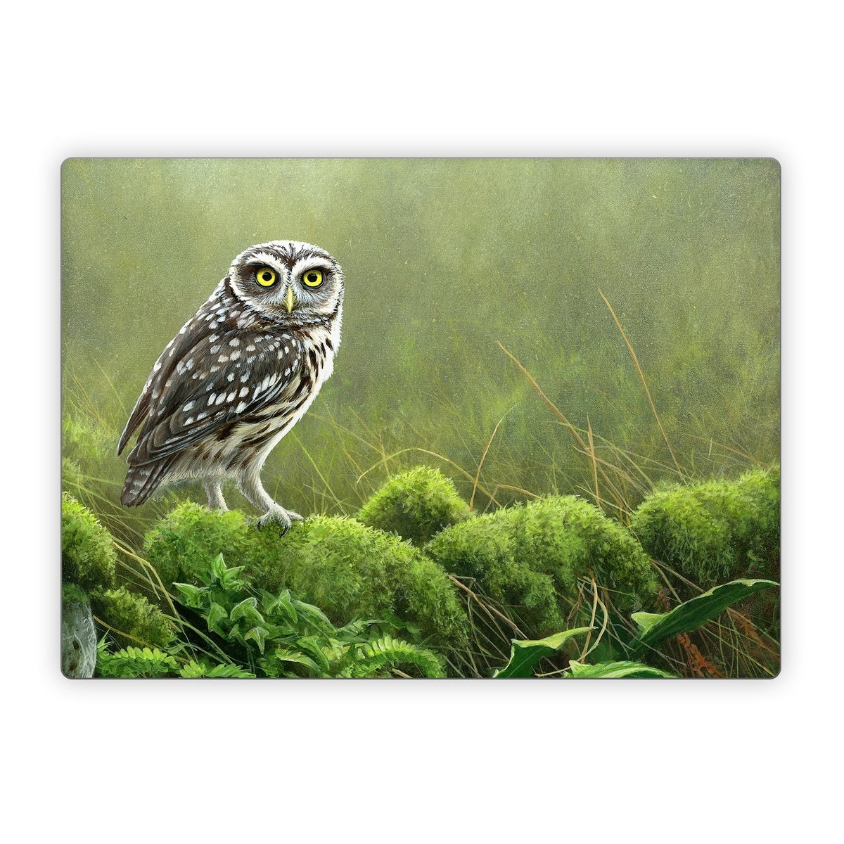 Tumbledown - Microsoft Surface Laptop Skin