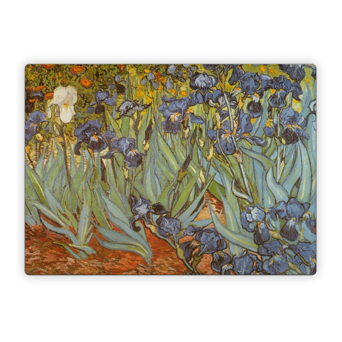 Irises - Microsoft Surface Laptop Skin