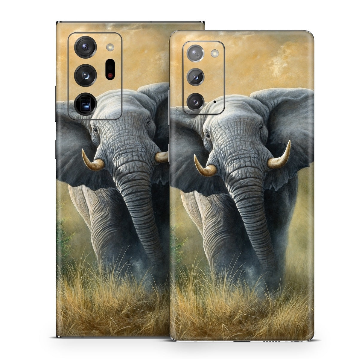 Right of Way - Samsung Galaxy Note 20 Skin