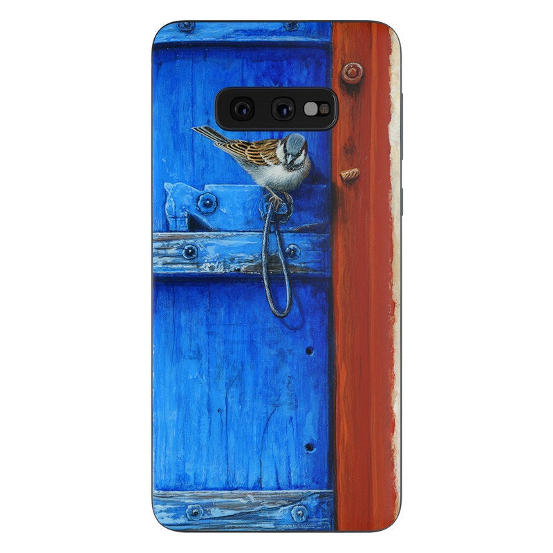 Blue Door - Samsung Galaxy S10e Skin