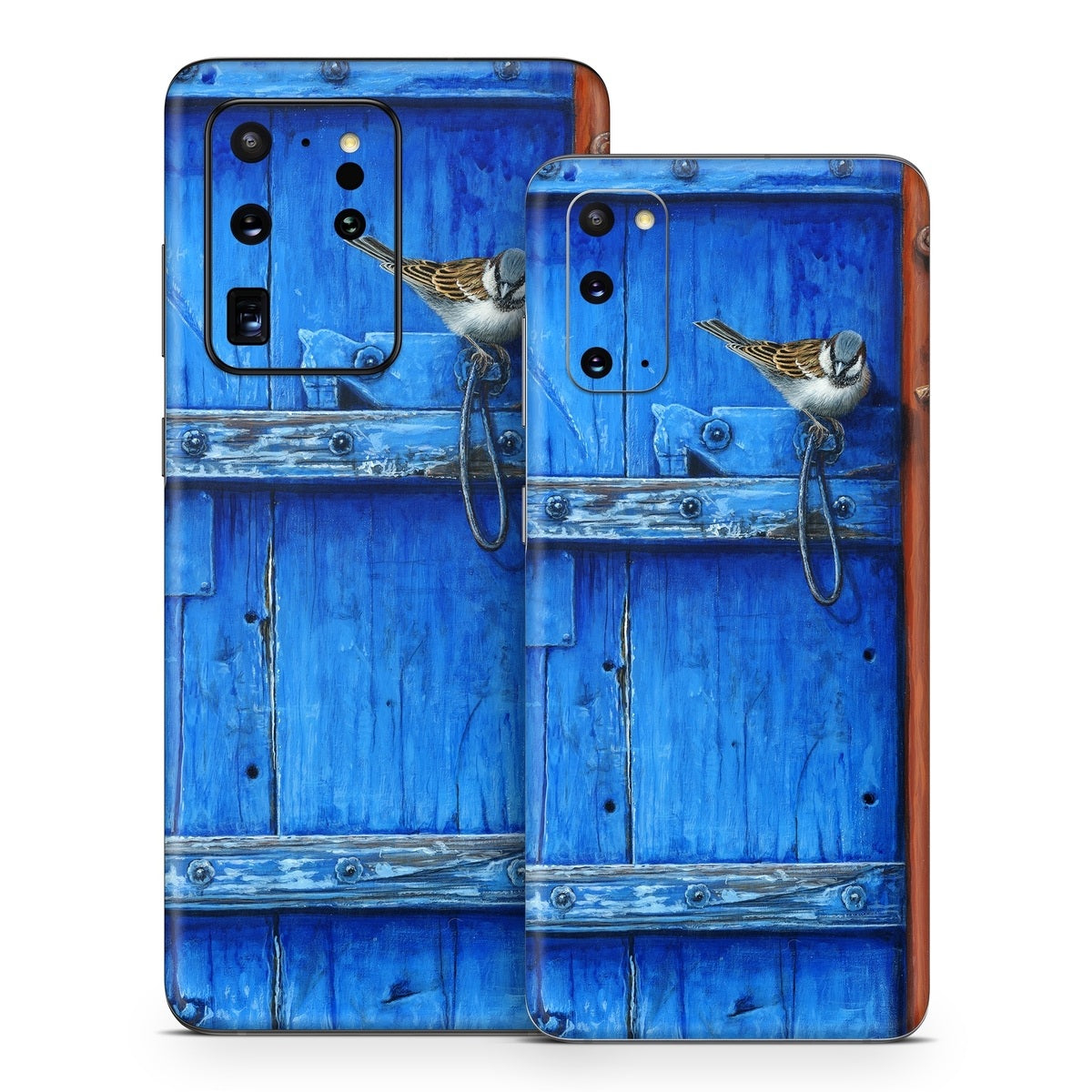 Blue Door - Samsung Galaxy S20 Skin