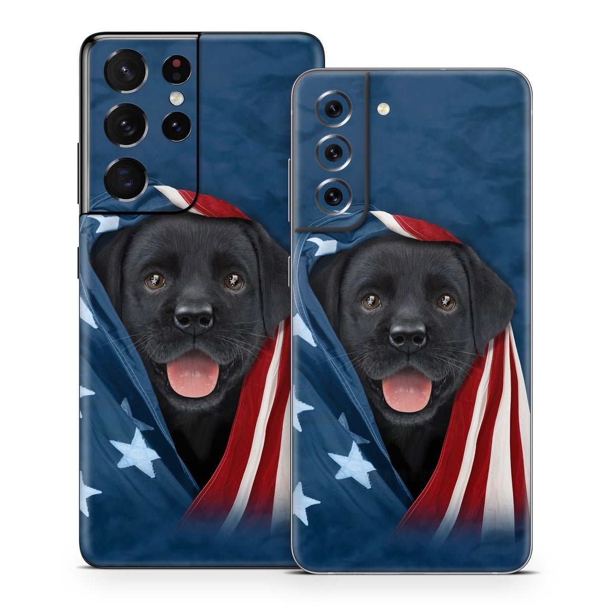 Patriotic Lab - Samsung Galaxy S21 Skin