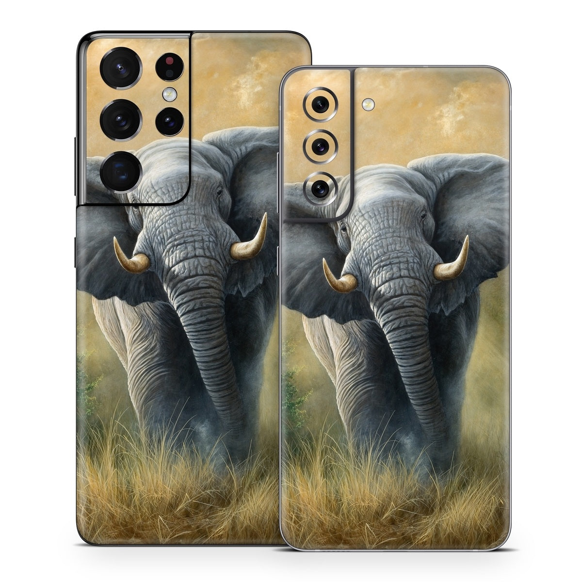 Right of Way - Samsung Galaxy S21 Skin