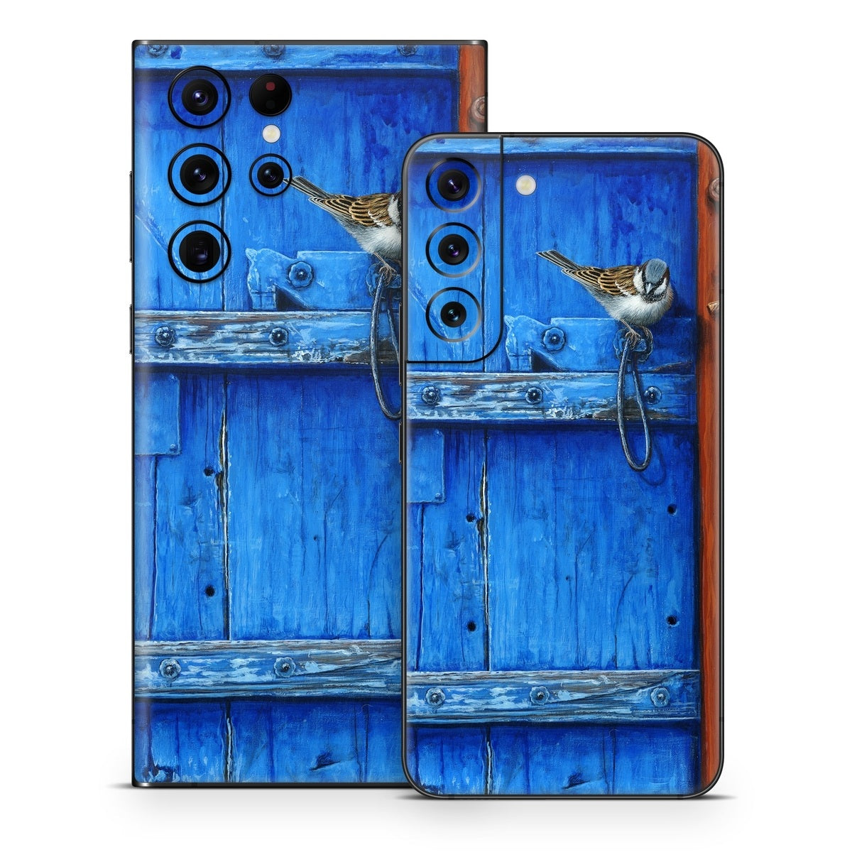 Blue Door - Samsung Galaxy S22 Skin