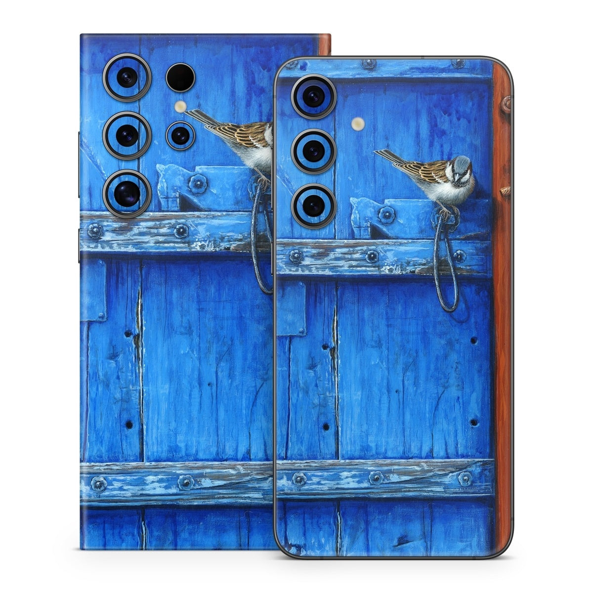 Blue Door - Samsung Galaxy S24 Skin