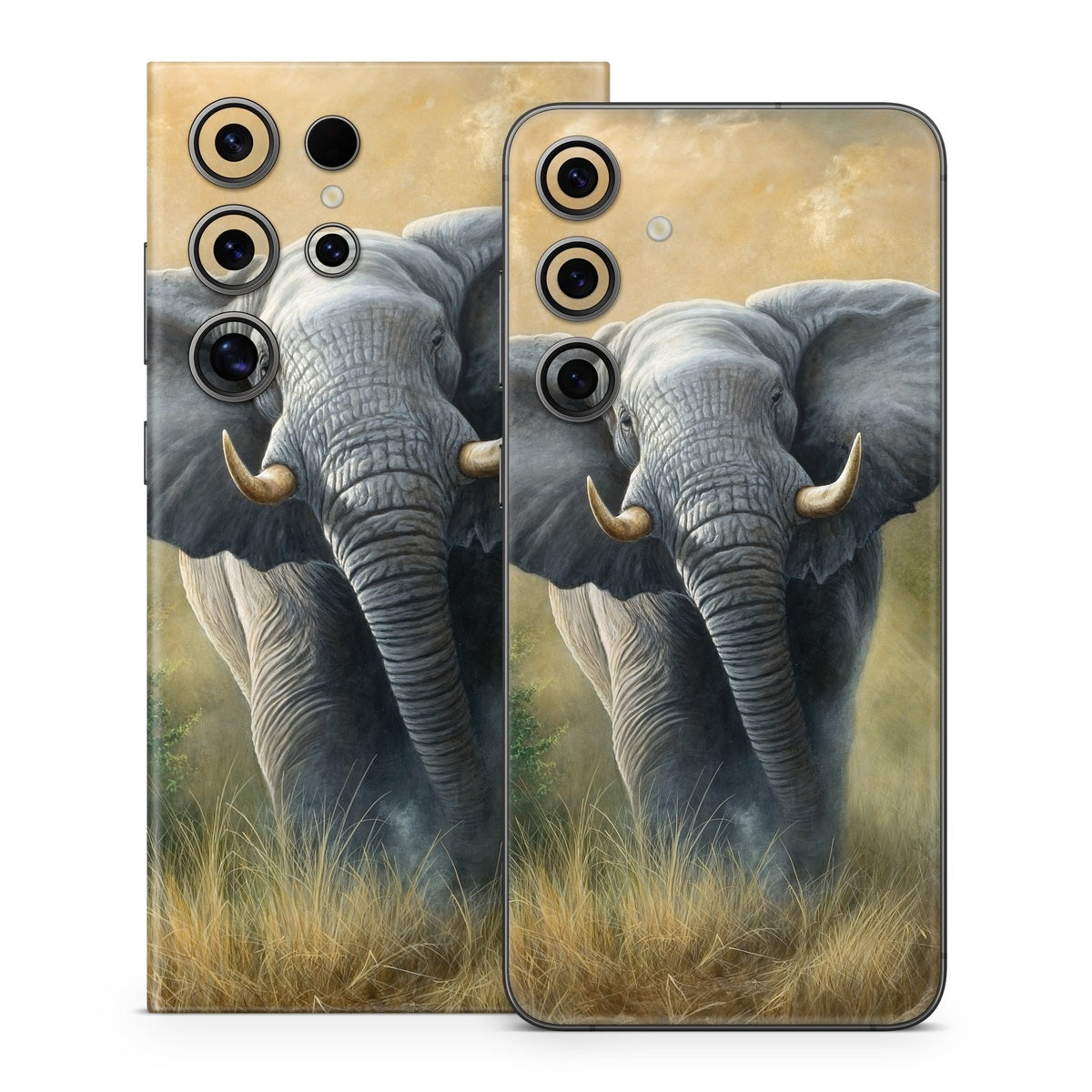 Right of Way - Samsung Galaxy S24 Skin