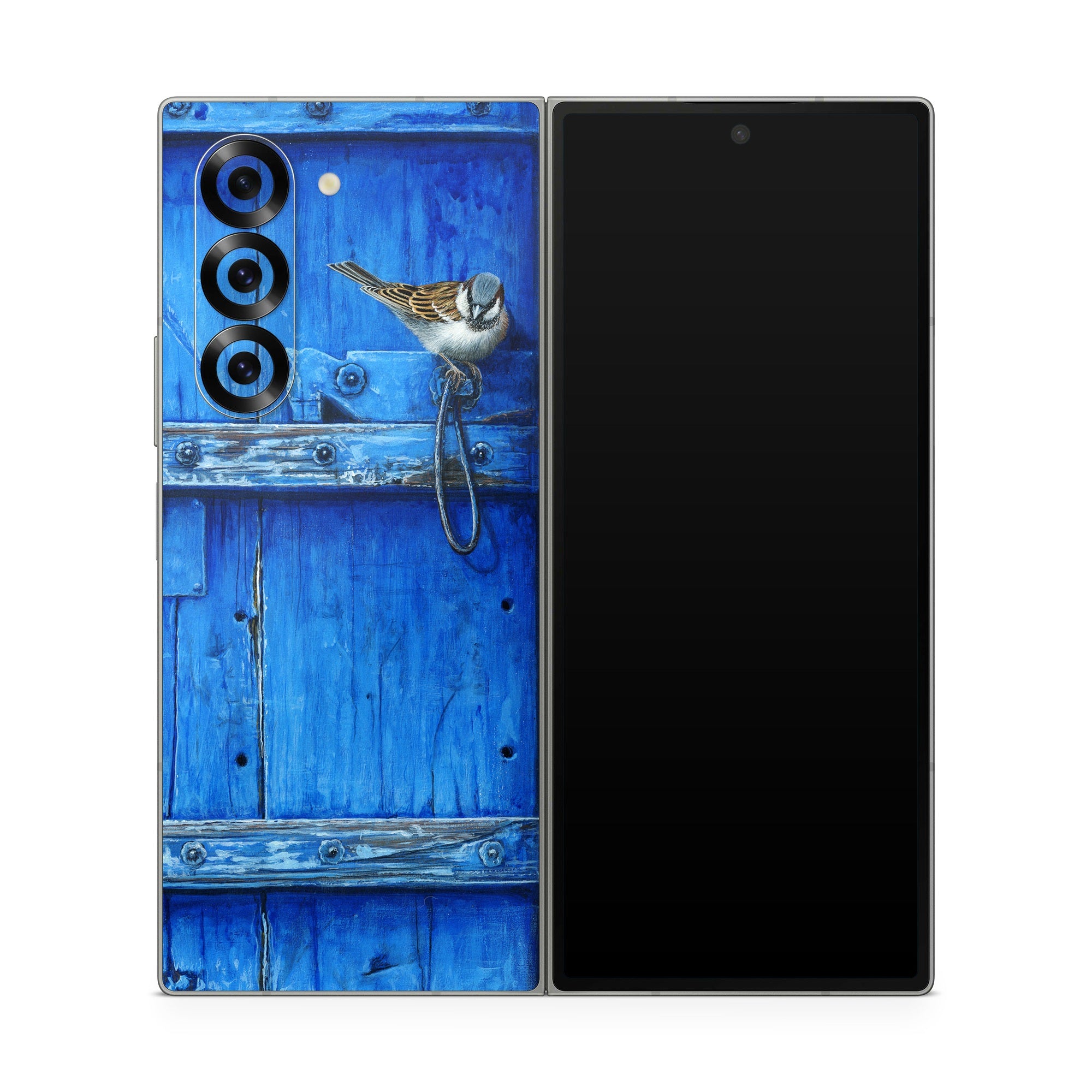 Blue Door - Samsung Galaxy Z Fold6 Skin